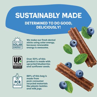 Show full view: Shameless Pets The Tooth Berry Dog Dental Sticks, Mini, 7.2-oz bag slide 7 of 9