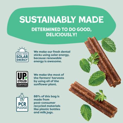 Show full view: Shameless Pets Mighty Mint Dog Dental Sticks, Mini, 7.2-oz bag slide 7 of 8