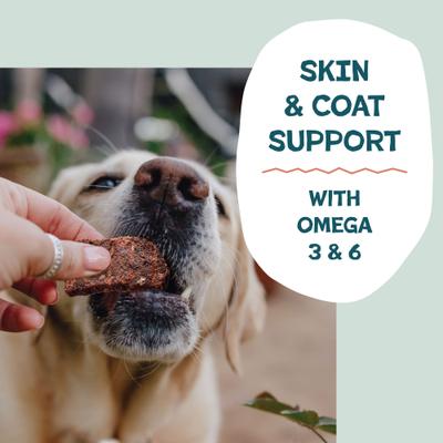 Show full view: Shameless Pets Salmon Jerky Dog Treats, 14-oz bag slide 6 of 11