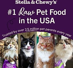 Stella & Chewy's Frozen Tummy Ticklin' Turkey Morsels Grain-Free Frozen Cat Food, 3-lb bag slide 2 of 9