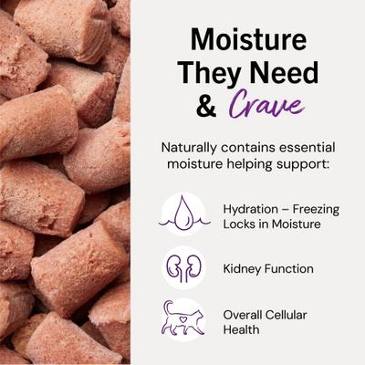 Show full view: Stella & Chewy's Frozen Chick Chick Chicken Morsels Grain-Free Frozen Cat Food, 3-lb bag slide 6 of 11