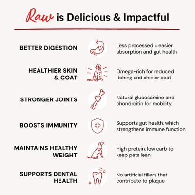 Show full view: Stella & Chewy's Stella's Super Beef Patties Frozen Raw Dog Food, 12-lb bag slide 4 of 11