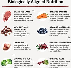 Stella & Chewy's Dandy Lamb Patties Frozen Raw Dog Food, 3-lb bag slide 2 of 9