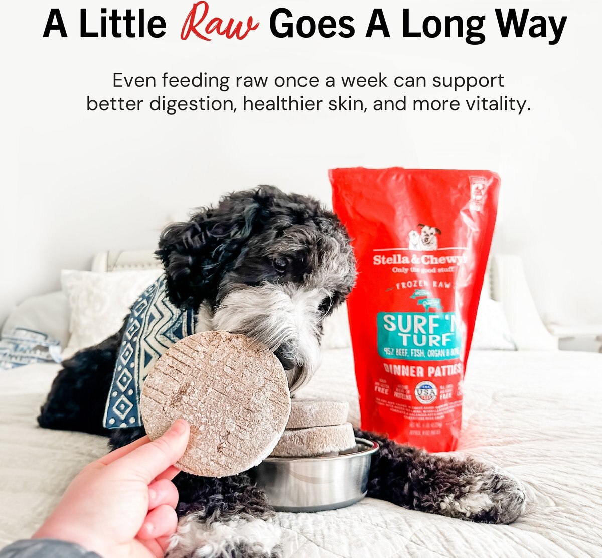Stella & Chewy's Tantalizing Turkey Patties Frozen Raw Dog Food, 6-lb bag