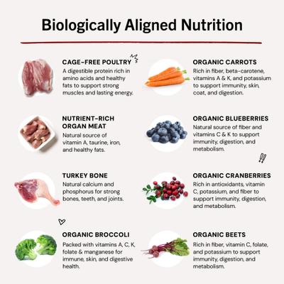 Show full view: Stella & Chewy's Duck Duck Goose Patties Frozen Raw Dog Food, 3-lb bag slide 9 of 11