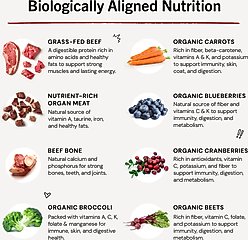 Stella & Chewy's Stella's Super Beef Patties Frozen Raw Dog Food, 3-lb bag slide 2 of 9