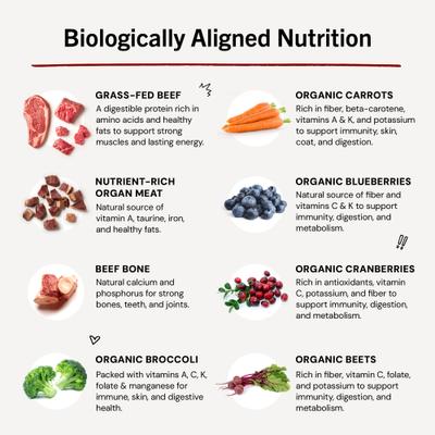 Show full view: Stella & Chewy's Stella's Super Beef Patties Frozen Raw Dog Food, 12-lb bag slide 9 of 11