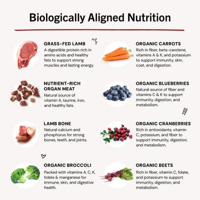 Show full view: Stella & Chewy's Dandy Lamb Morsels Frozen Raw Dog Food, 4-lb bag slide 9 of 11