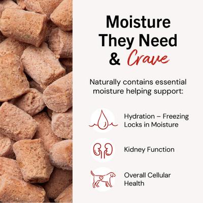 Show full view: Stella & Chewy's Dandy Lamb Morsels Frozen Raw Dog Food, 4-lb bag slide 6 of 11