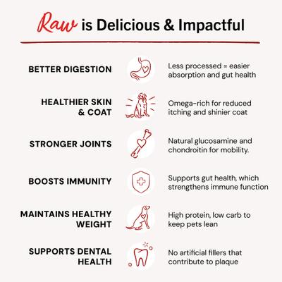 Show full view: Stella & Chewy's Dandy Lamb Morsels Frozen Raw Dog Food, 4-lb bag slide 4 of 11