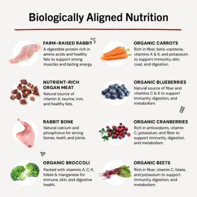 Show full view: Stella & Chewy's Absolutely Rabbit Patties Frozen Raw Dog Food, 6-lb bag slide 9 of 11