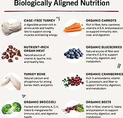 Stella & Chewy's Tantalizing Turkey Patties Frozen Raw Dog Food, 6-lb bag slide 2 of 9