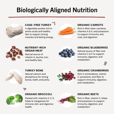 Show full view: Stella & Chewy's Tantalizing Turkey Patties Frozen Raw Dog Food, 6-lb bag slide 9 of 11