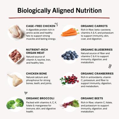 Show full view: Stella & Chewy's Chewy's Chicken Morsels Frozen Raw Dog Food, 4-lb bag slide 9 of 11