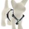 Show in main carousel: LupinePet Original Designs Sand Shark Adjustable Dog Harness, Small: 12 to 20-in chest, 1/2-in wide slide 1 of 7