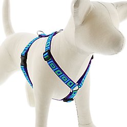 LupinePet Original Designs Sea Glass Adjustable Dog Harness, Large: 20 to 32-in chest, 3/4-in wide