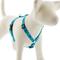 Show in main carousel: LupinePet Original Designs Turtle Reef Adjustable Dog Harness, Medium: 14 to 24-in chest, 3/4-in wide slide 1 of 6