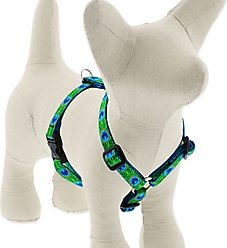 LupinePet Original Designs Tail Feathers Adjustable Dog Harness, Small: 12 to 20-in chest, 1/2-in wide