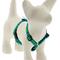 Show in main carousel: LupinePet Original Designs Tail Feathers Adjustable Dog Harness, X-Small: 9 to 14-in chest, 1/2-in wide slide 1 of 6