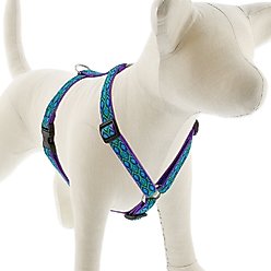 LupinePet Original Designs Rain Song Adjustable Dog Harness, Medium: 14 to 24-in chest, 3/4-in wide