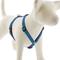Show in main carousel: LupinePet Original Designs Rain Song Adjustable Dog Harness, Medium: 14 to 24-in chest, 3/4-in wide slide 1 of 6