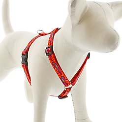 LupinePet Original Designs Go Go Gecko Adjustable Dog Harness, Small: 12 to 20-in chest, 3/4-in wide