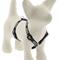 Show in main carousel: LupinePet Original Designs Bling Bonz Adjustable Dog Harness, Small: 12 to 20-in chest, 1/2-in wide slide 1 of 6