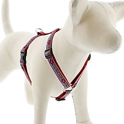 LupinePet Original Designs El Paso Adjustable Dog Harness, Medium: 14 to 24-in chest, 3/4-in wide