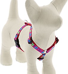 LupinePet Original Designs Wing It Adjustable Dog Harness, Small: 12 to 20-in chest, 1/2-in wide