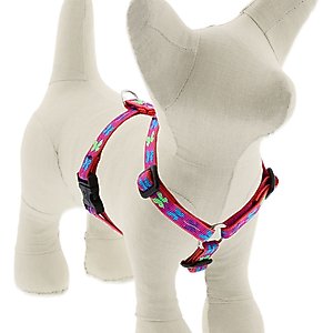 LupinePet Original Designs Wing It Adjustable Dog Harness, Small: 12 to 20-in chest, 1/2-in wide