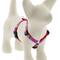 Show in main carousel: LupinePet Original Designs Wing It Adjustable Dog Harness, Small: 12 to 20-in chest, 1/2-in wide slide 1 of 6