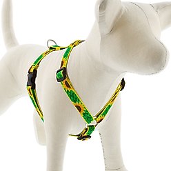 LupinePet Original Designs Sunflowers Adjustable Dog Harness, Medium: 14 to 24-in chest, 3/4-in wide