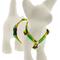 Show in main carousel: LupinePet Original Designs Sunflowers Adjustable Dog Harness, Small: 12 to 20-in chest, 1/2-in wide slide 1 of 6