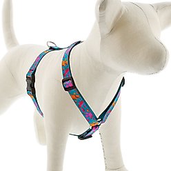 LupinePet Original Designs Wet Paint Adjustable Dog Harness, Medium: 14 to 24-in chest, 3/4-in wide