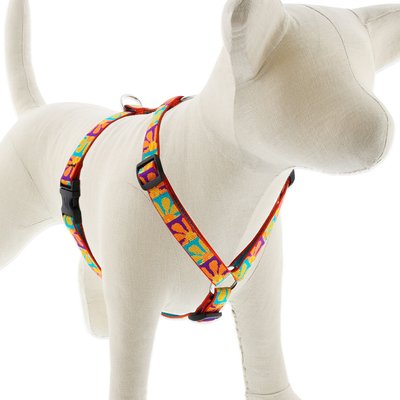 LupinePet LupinePet Original Designs Crazy Daisy Adjustable Dog Harness, Large: 20 to 32-in chest, 3/4-in wide