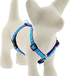 LupinePet Original Designs Sea Glass Adjustable Dog Harness, Small: 12 to 20-in chest, 1/2-in wide