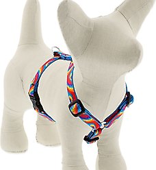 LupinePet Original Designs Lollipop Adjustable Dog Harness, Small: 12 to 20-in chest, 1/2-in wide