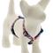 Show in main carousel: LupinePet Original Designs Lollipop Adjustable Dog Harness, X-Small: 9 to 14-in chest, 1/2-in wide slide 1 of 6