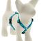Show in main carousel: LupinePet Original Designs Turtle Reef Adjustable Dog Harness, X-Small: 9 to 14-in chest, 1/2-in wide slide 1 of 7