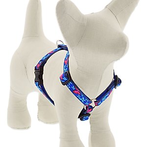 LupinePet Original Designs Social Butterfly Adjustable Dog Harness, Small: 12 to 20-in chest, 1/2-in wide
