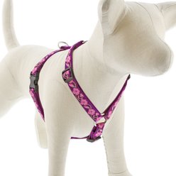 LupinePet Original Designs Rose Garden Adjustable Dog Harness, Large: 20 to 32-in chest, 3/4-in wide