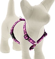 LupinePet Original Designs Rose Garden Adjustable Dog Harness, Small: 12 to 20-in chest, 1/2-in wide
