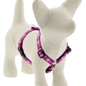 LupinePet Original Designs Rose Garden Adjustable Dog Harness, Small: 12 to 20-in chest, 1/2-in wide