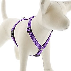 LupinePet Original Designs Jelly Roll Adjustable Dog Harness, Large: 20 to 32-in chest, 3/4-in wide