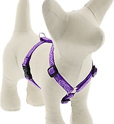 LupinePet Original Designs Jelly Roll Adjustable Dog Harness, Small: 12 to 20-in chest, 1/2-in wide