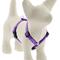 Show in main carousel: LupinePet Original Designs Jelly Roll Adjustable Dog Harness, Small: 12 to 20-in chest, 1/2-in wide slide 1 of 7