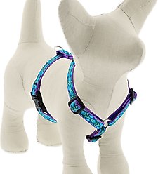 LupinePet Original Designs Rain Song Adjustable Dog Harness, Small: 12 to 20-in chest, 1/2-in wide