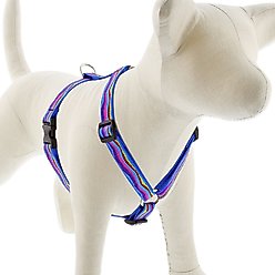 LupinePet Original Designs Ripple Creek Adjustable Dog Harness, Medium: 14 to 24-in chest, 3/4-in wide