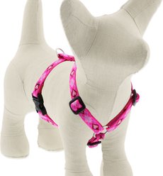 LupinePet Original Designs Puppy Love Adjustable Dog Harness, X-Small: 9 to 14-in chest, 1/2-in wide