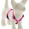 Show in main carousel: LupinePet Original Designs Puppy Love Adjustable Dog Harness, Small: 12 to 20-in chest, 1/2-in wide slide 1 of 6